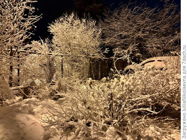 Настоящий Новый Год