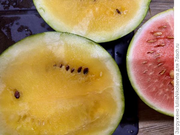 А вот это для меня открытие! Если красные арбузы не набрали сахаристости без тепла и солнца, то жёлтый был удивительно ароматный, сладкий и очень вкусный
