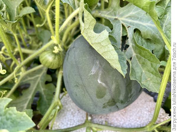 Ну, ок. Раз надумал всё же жить, то подоткнём пенопласт