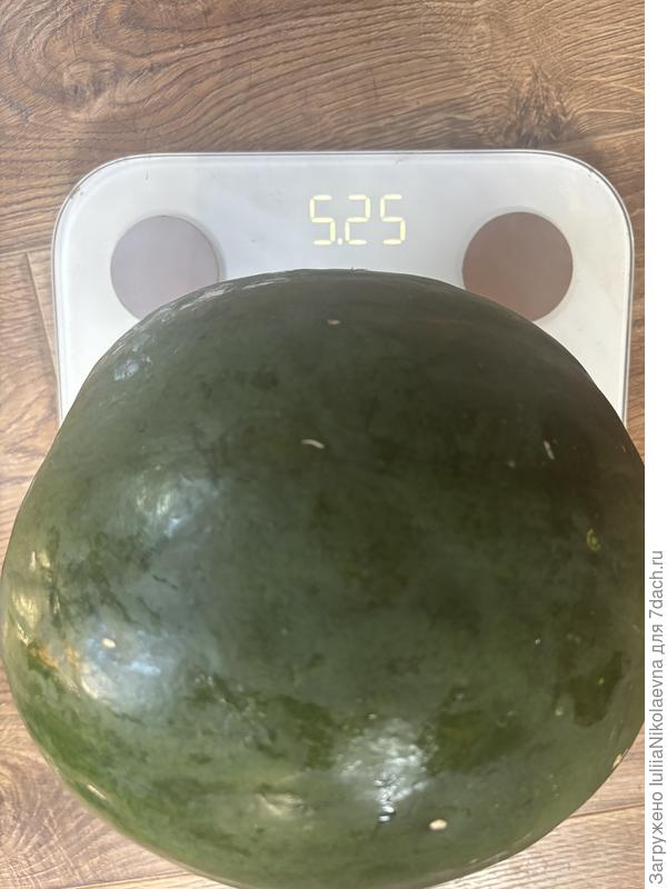 Самый большой 5 кг