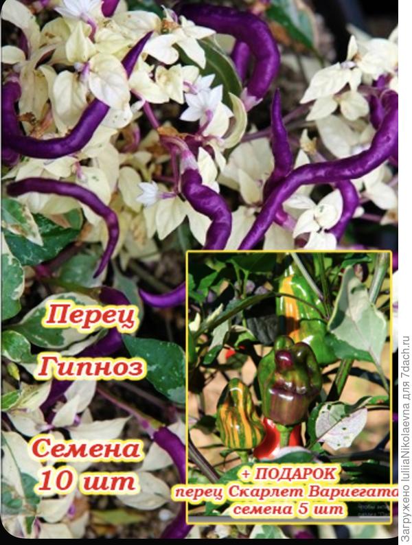 Парочка для кашпо