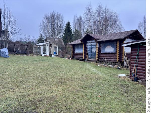 Газончик зеленеет