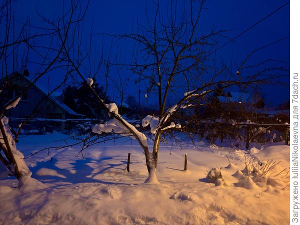 На груше снег внизу есть.