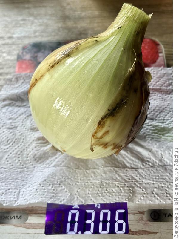 Я и такому рада😊