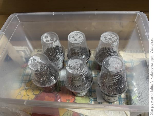 Ждём-с  в тепле, но в сумраке