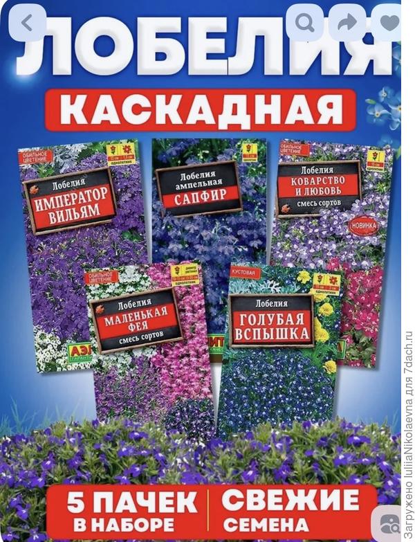 Вот такого накупила