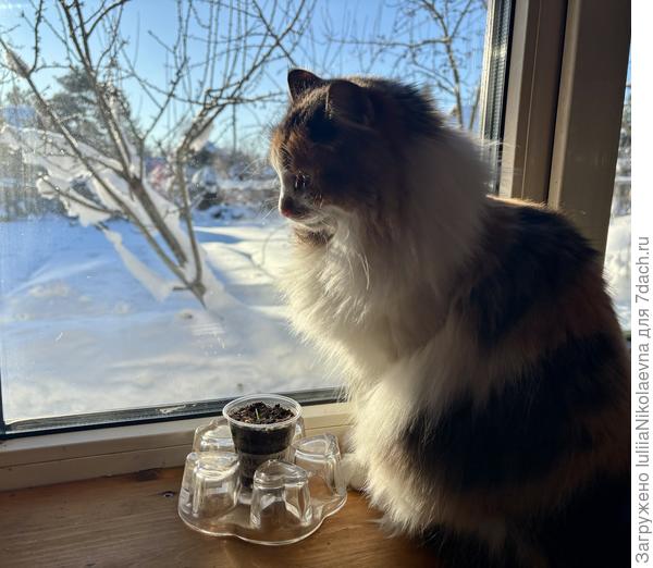 Мастер выбирает модель стрижки