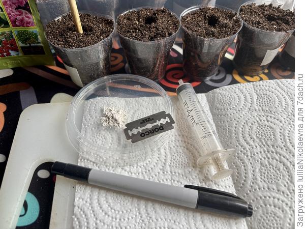 Подготовка