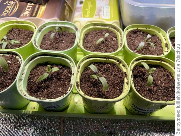 Всё! Навела порядок!