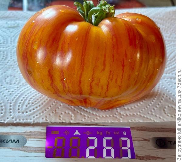 Сладкая Карамель без анто