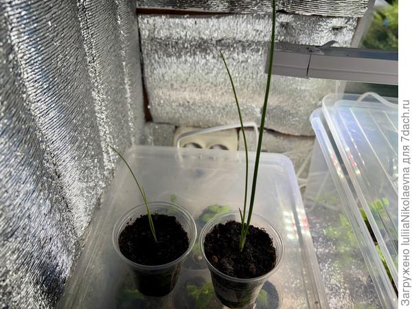 Такие они сегодня