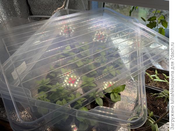 Вот так проветриваю. Половина из них уже забронирована добрыми людьми😊