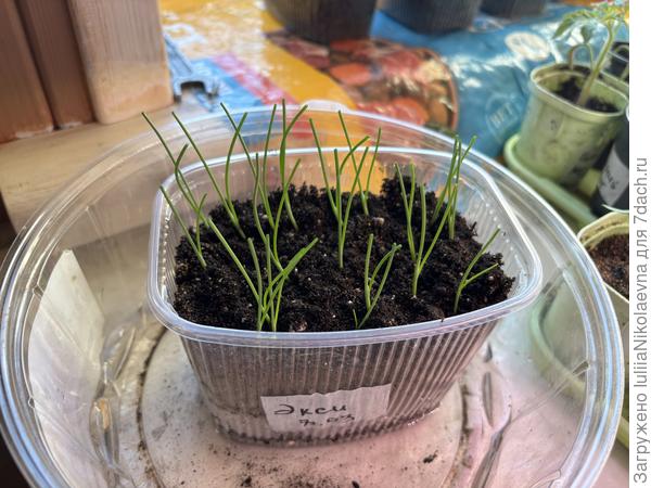 После стрижки