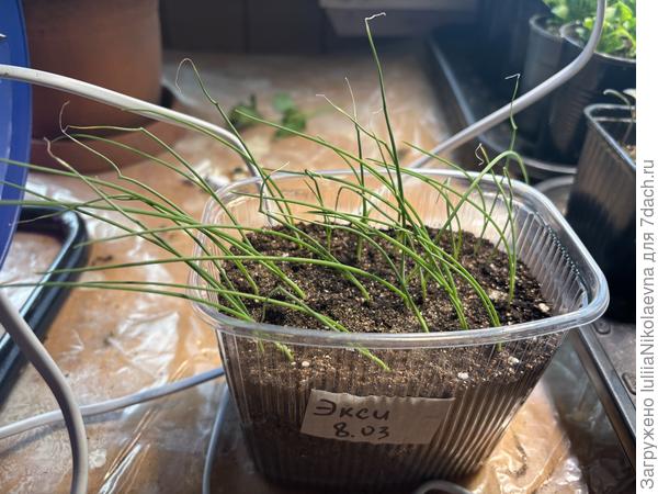 Наклонился