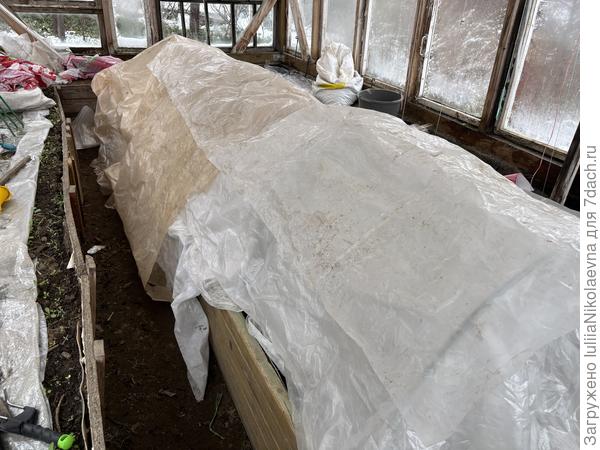 Вот так укрыты высаженные томаты на ПМЖ