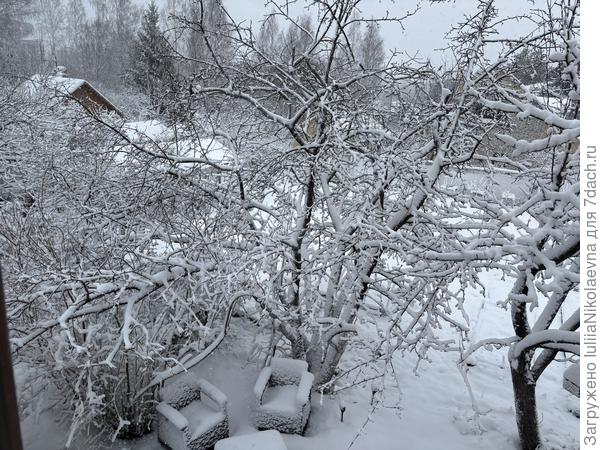 Весна во всей красе) 27 апреля