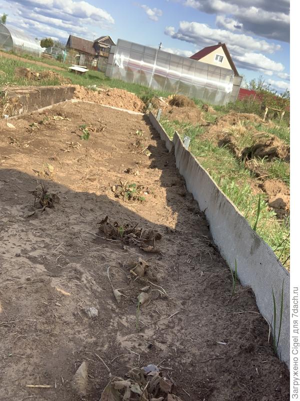 Ну и клубника, которой похоже кердык