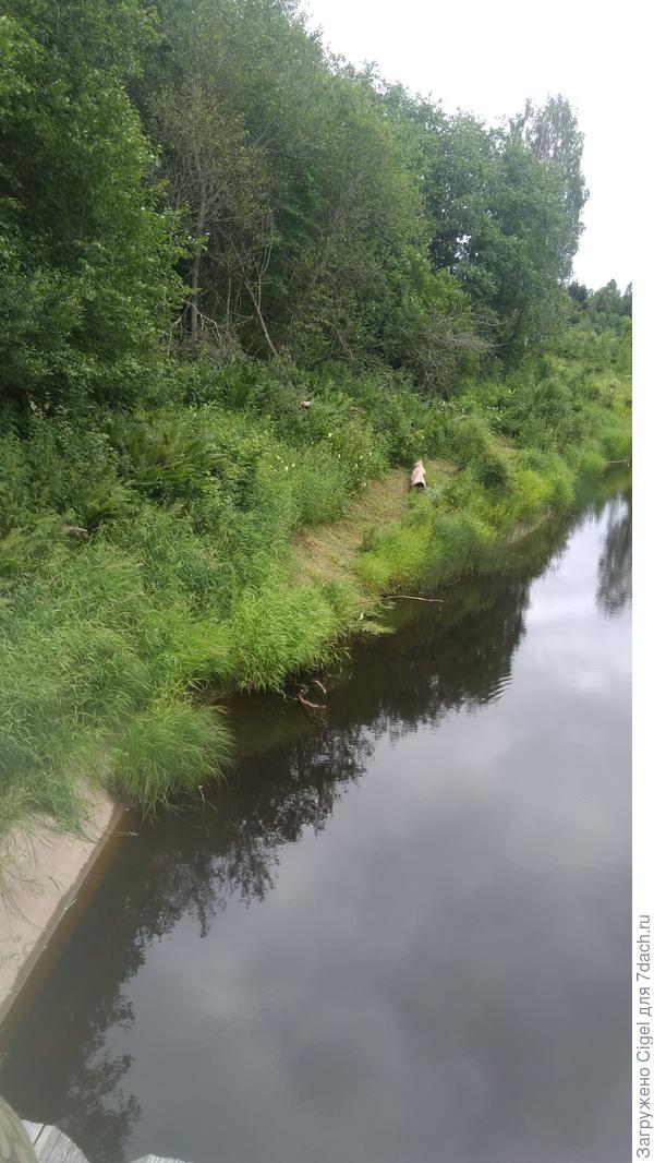 Вид со стороны реки