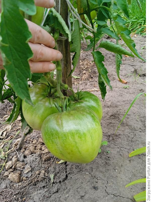 И поближе)))