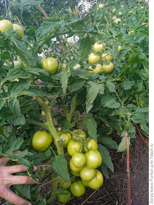 В прошлом году