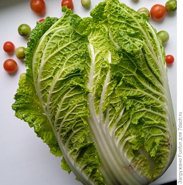 Самая большая