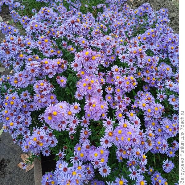 Никакой экзотики, а глаза радуются