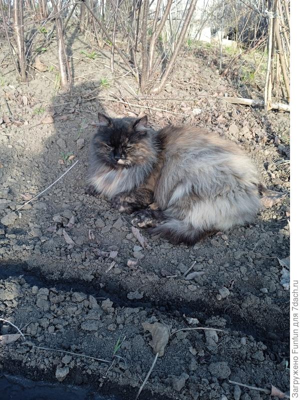 Вчера вот сеяла салат с контролёром😆