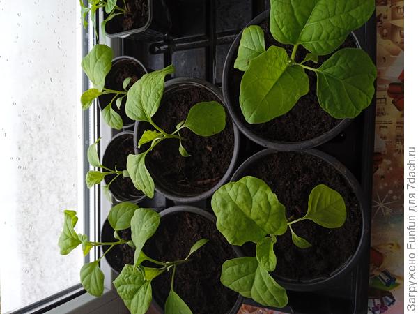 Пока вроде &amp;quot;полёт&amp;quot; нормальный