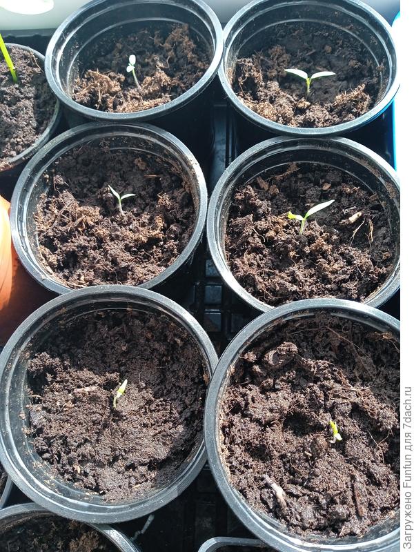 Малютки греются на солнышке