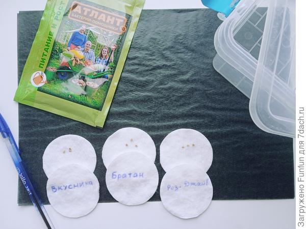 Диски с семенами подписываю обычной ручкой