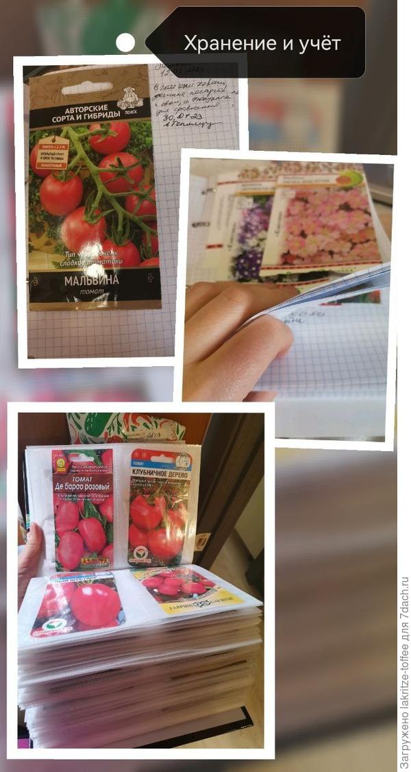 Хранение и систематизация информации по семенам