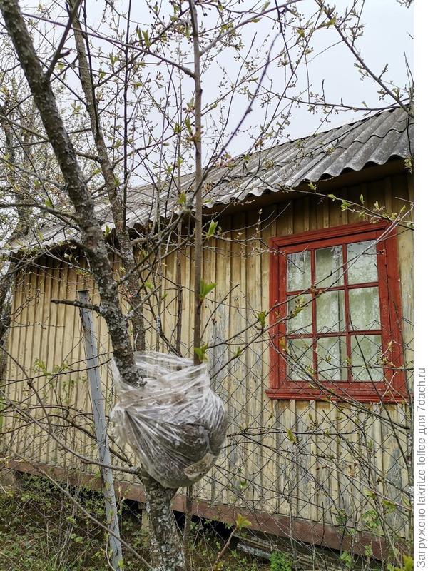 воздушная отводка