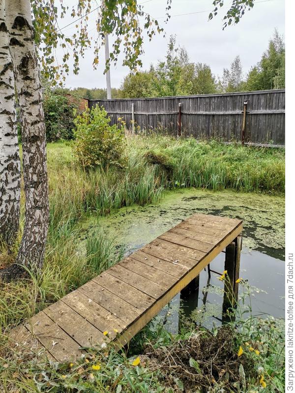 Вроде бы и желтого почти нет, а сразу видно, что осень