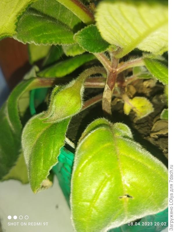 Вот, просили фото, показываю) и таких батончиков по ней куча!