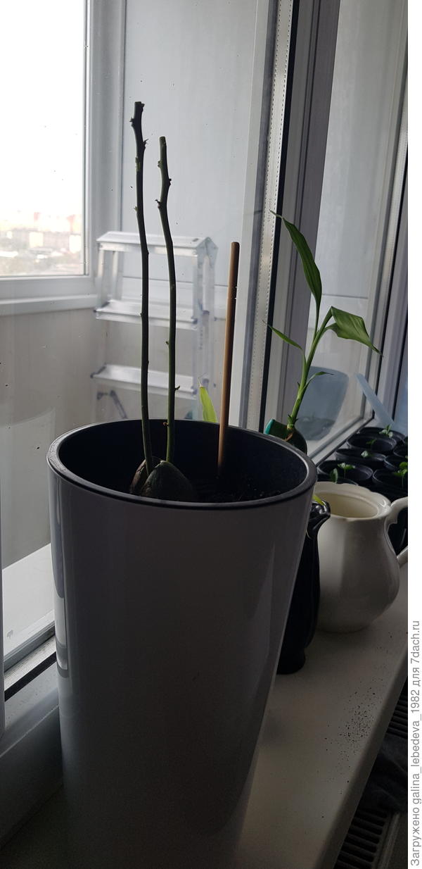 Надеюсь, все сделала правильно, буду ждать результат