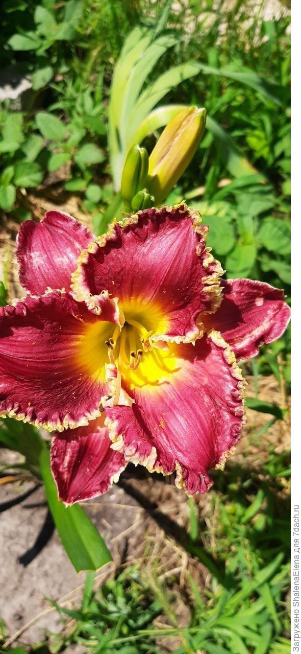 Они так гармонично смотрятся рядом.