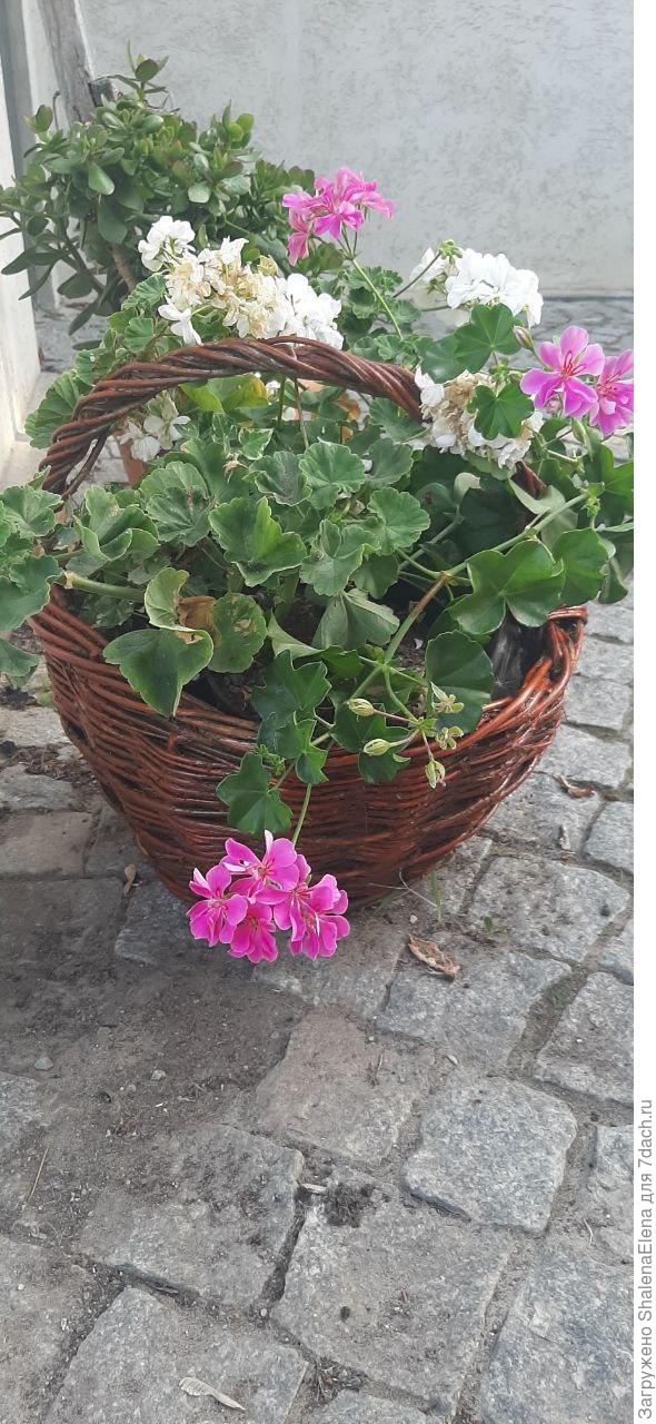 Заодно покрасила и корзину. Ее я тоже с мусорки притащила, правда еще весной.