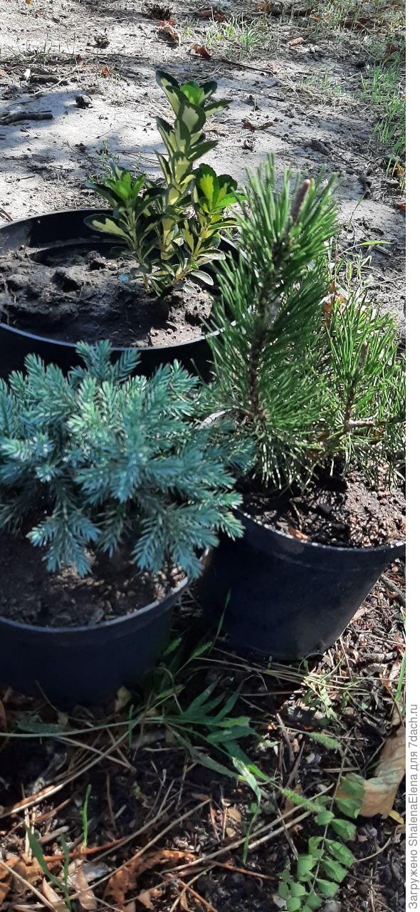 Когда хотелки реализуются