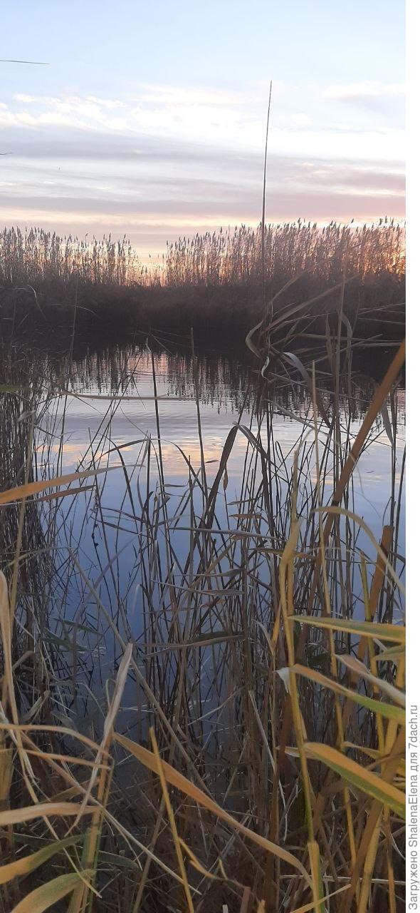 Речка рядом с домом.