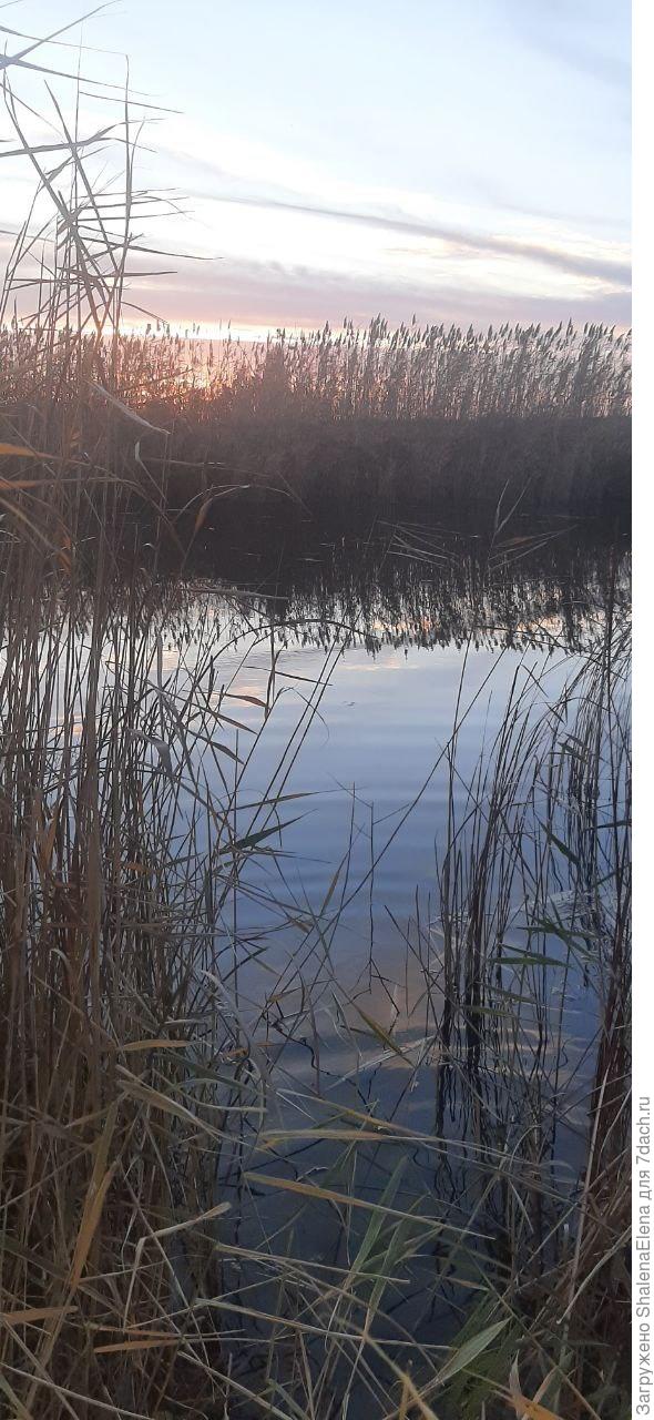 Вид на реку