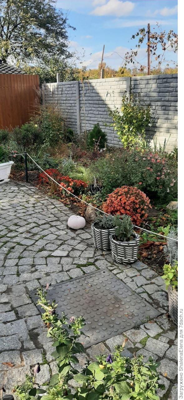 Немного стремной клумбы