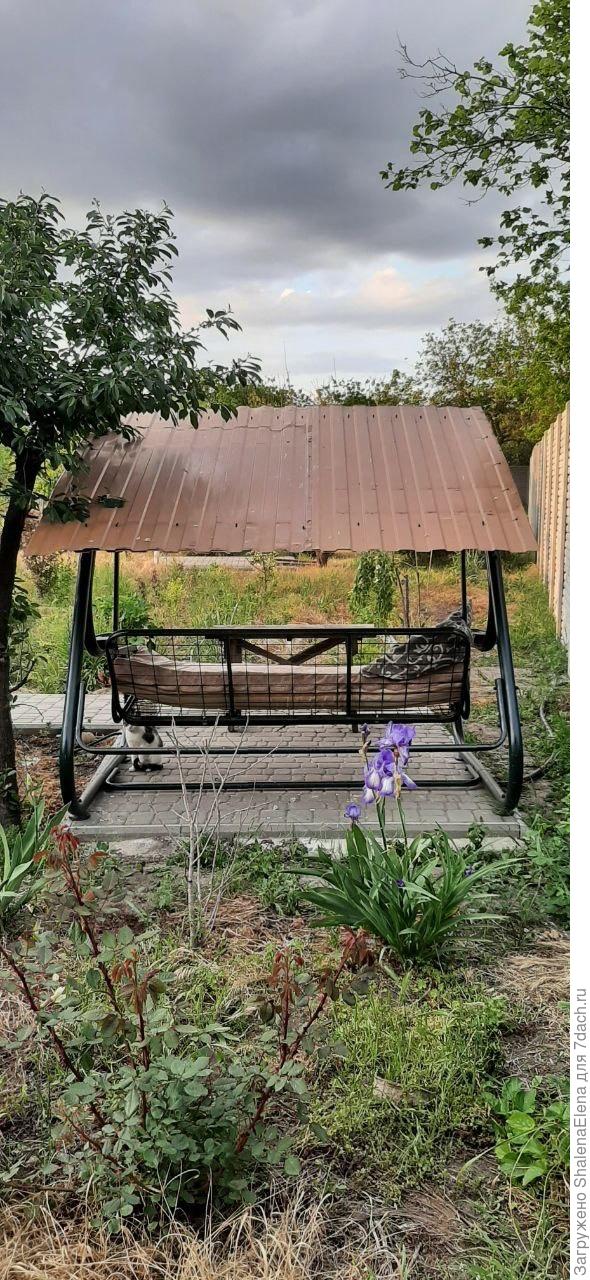 Новая крыша