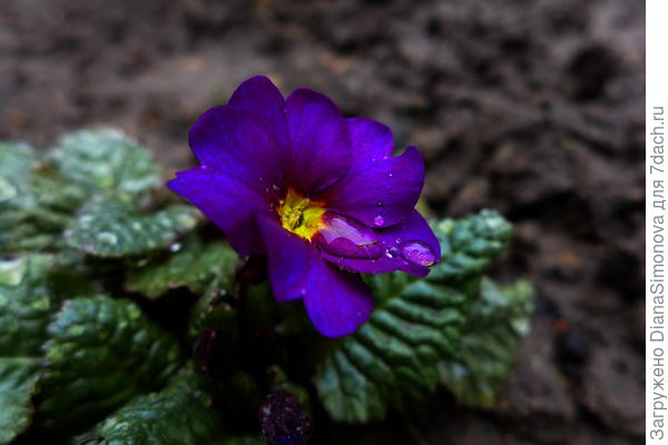 Новенькая в строю.
