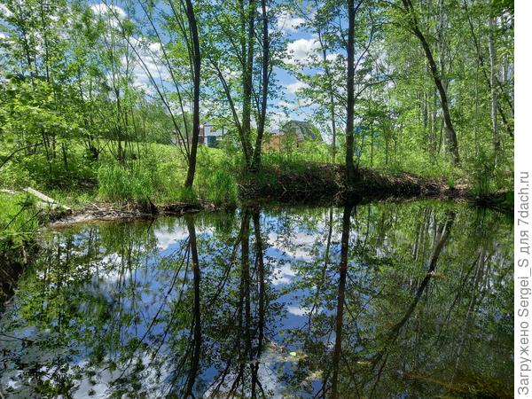 Пруд 3