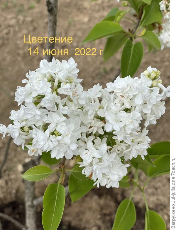 В 2022 году была в отличном состоянии
