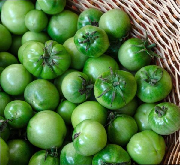 Мелкие зелёные помидоры