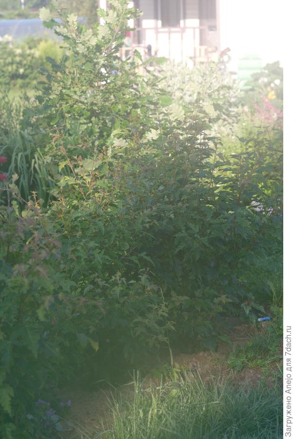 плотная посадка