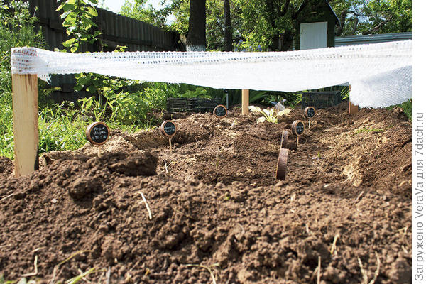 И тут сетка пригодилась