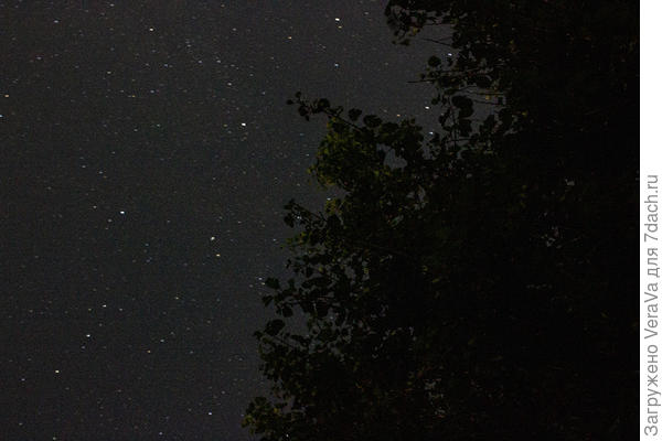 Вот он, настоящий звёздный август
