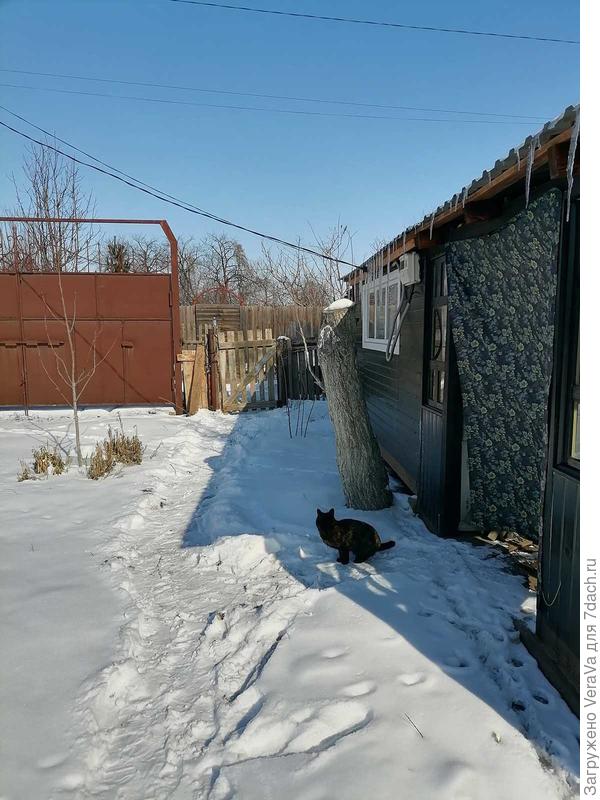 А вот и весну встречаем